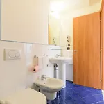Le Tartarughe Mare